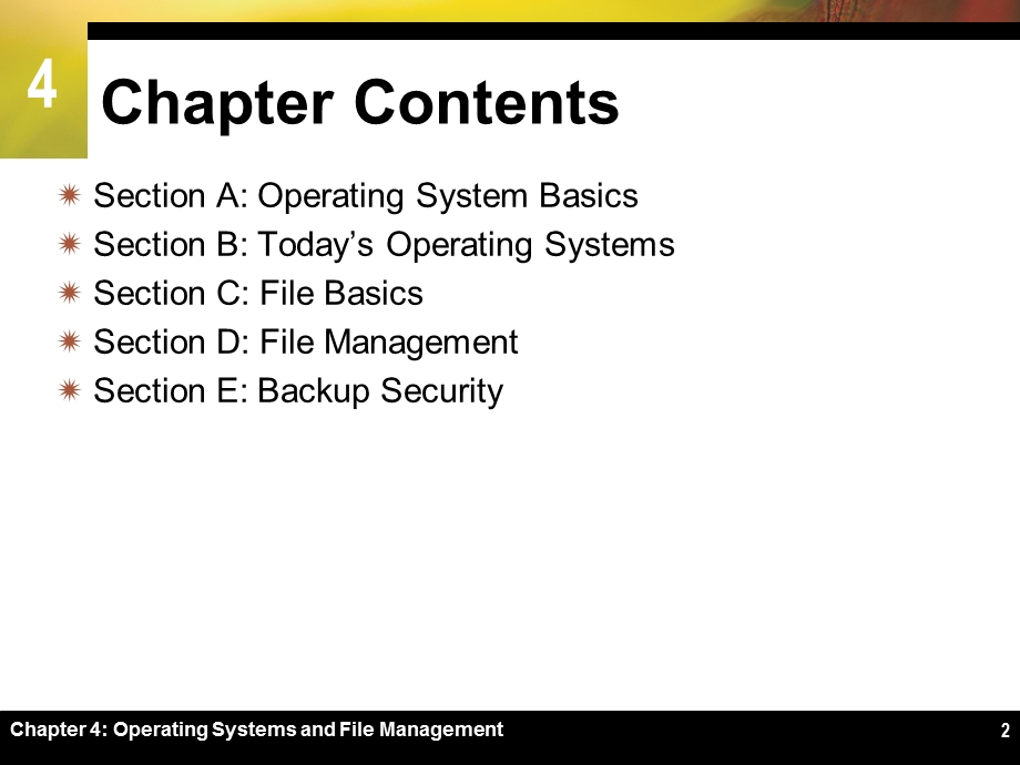 计算机文化.ppt_第2页