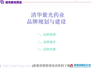 清华紫光品牌规划与建设.ppt