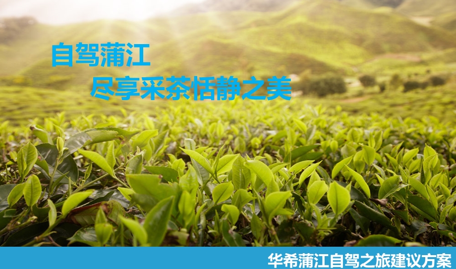 蒲江汽车自驾方案.ppt_第1页