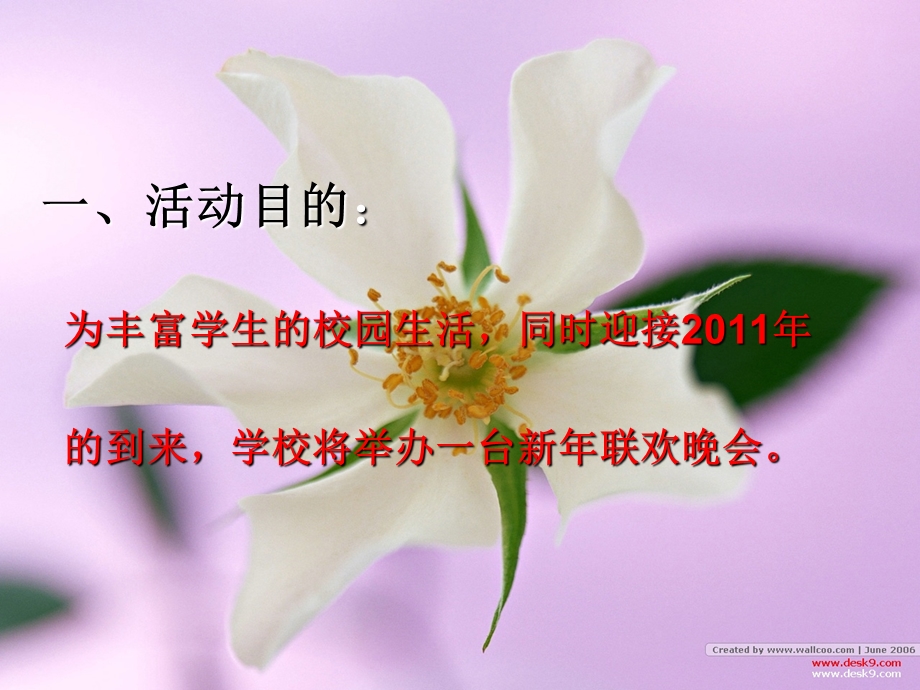 节联欢公关专题活动策划.ppt_第3页