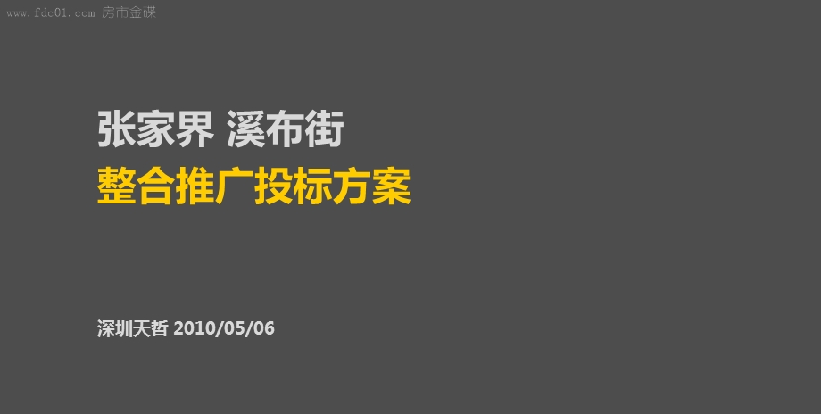 张家界溪布街整合推广投标方案.ppt_第2页