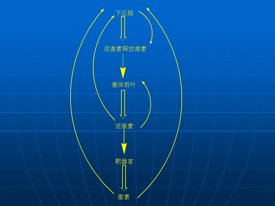 激素.ppt.ppt_第3页