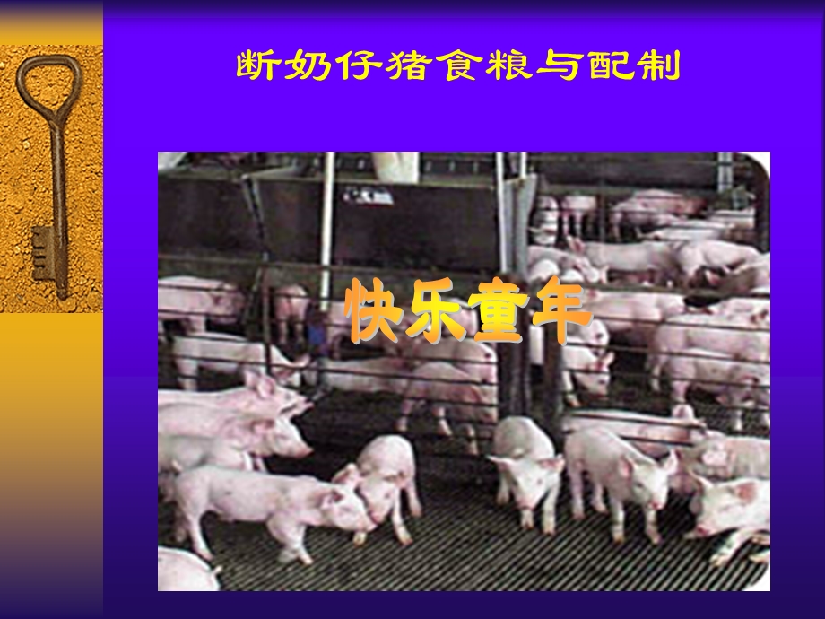 生长猪的营养需要.ppt_第2页