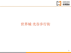 武汉商业地产典型案例：世界城·光谷步行街.ppt