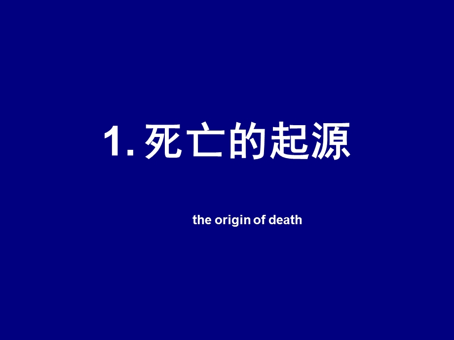 圣经教训关于生和死(PPT33).ppt_第3页