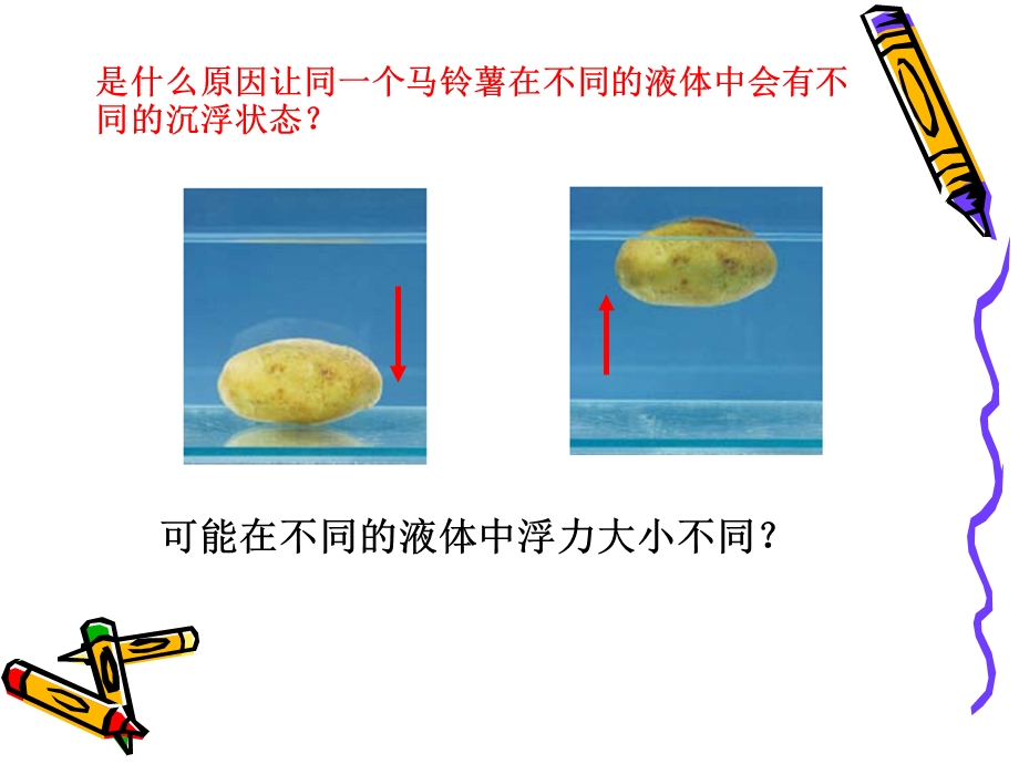 教科版小学科学《探索马铃薯沉浮的原因》课件.ppt_第3页