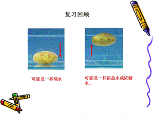 教科版小学科学《探索马铃薯沉浮的原因》课件.ppt