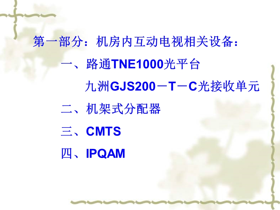 互动电视业务培训知识交流PPT.ppt_第2页