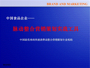 脉动整合营销策划实战工具.ppt