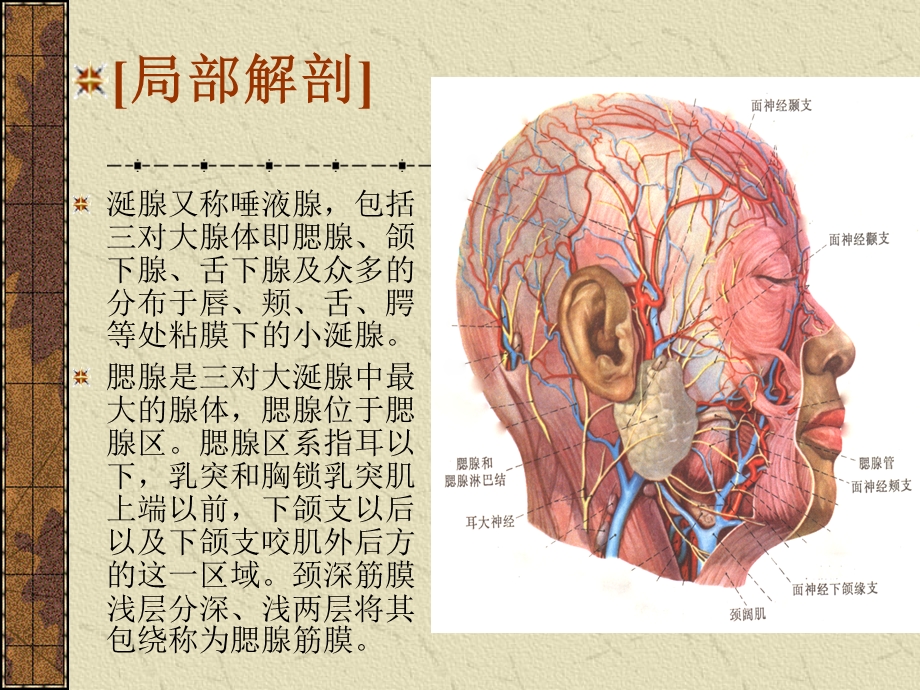 医学腮腺癌的手术治疗.ppt_第2页