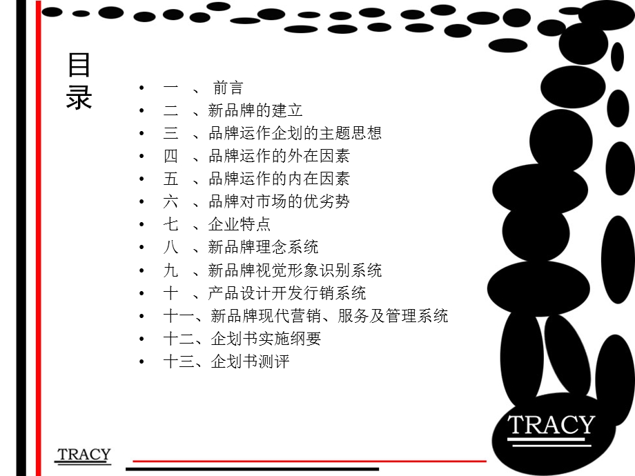 TRACY中国女装品牌新品牌企划书.ppt_第2页