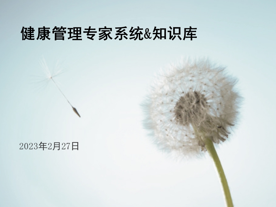 健康管理专家系统&知识库ppt.ppt_第1页