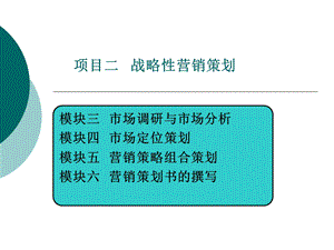 战略性营销策划.ppt