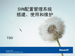 SVN配置管理系统的搭建、使用和维护.ppt