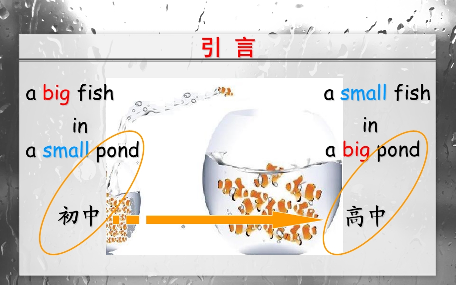 高一英语教学漫谈.ppt_第3页