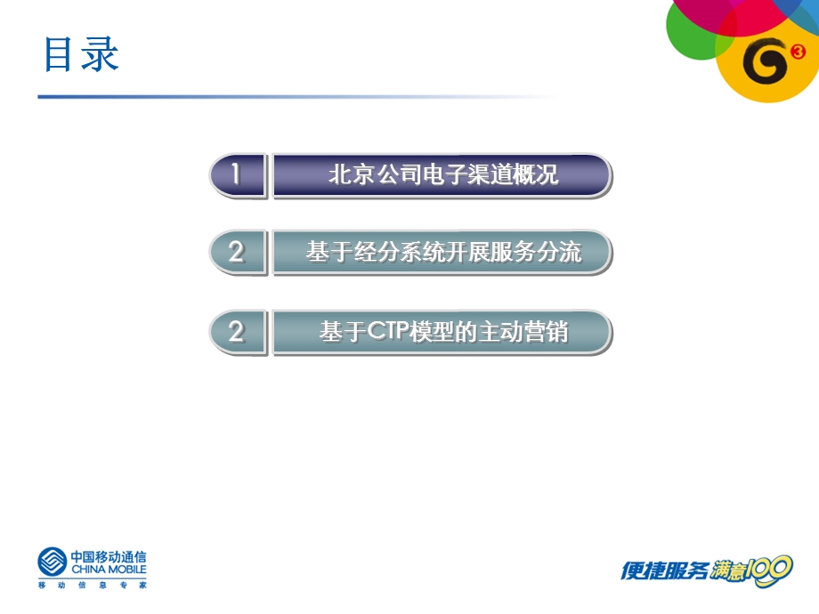 某省移动电子渠道运营数据挖掘和服务分流 .ppt_第2页