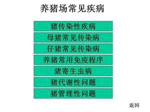 养猪场常见疾病.ppt