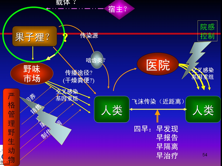 不明原因肺炎的监测方案.ppt_第3页