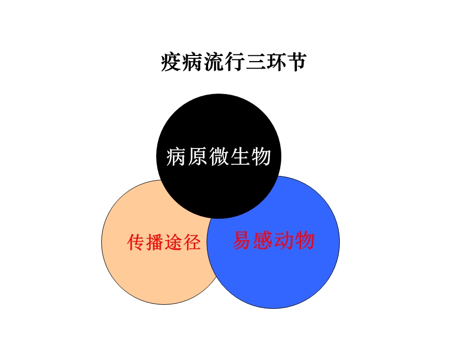 规模化猪场消毒方案.ppt_第2页