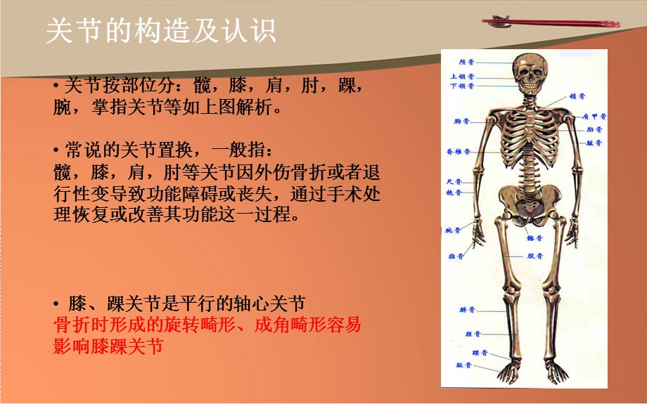 骨科植入物的分类及运用.ppt_第3页