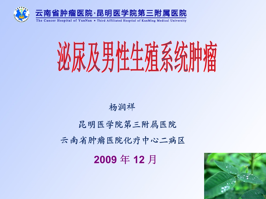 肿瘤学肾癌.ppt幻灯片1.ppt_第1页