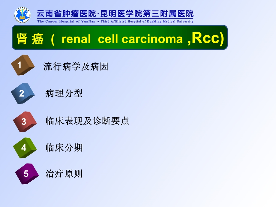 肿瘤学肾癌.ppt幻灯片1.ppt_第2页