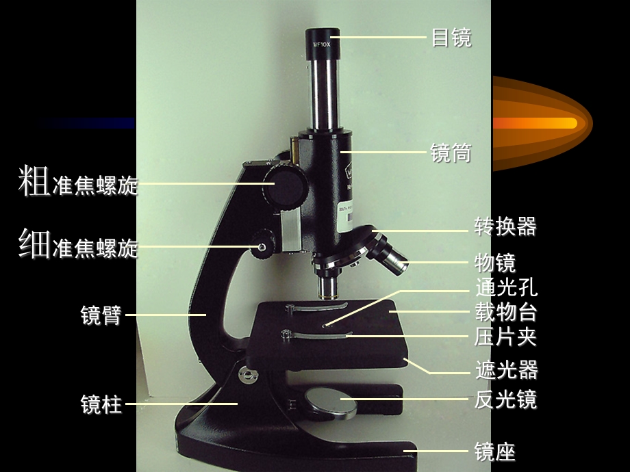 显微镜操作步骤-新.ppt_第3页