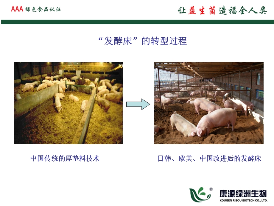 发酵床的制作以及如金益生菌在发酵床上的应用.ppt_第3页