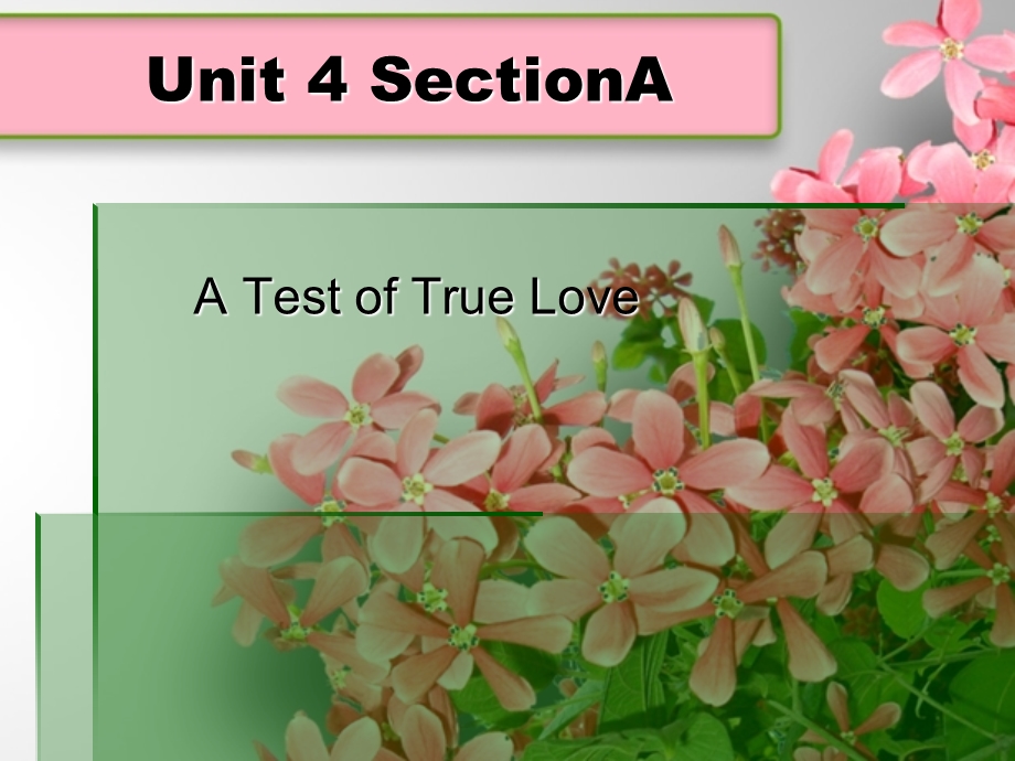 新视野Unit4 A Test of True Love.ppt_第1页