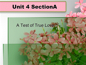 新视野Unit4 A Test of True Love.ppt