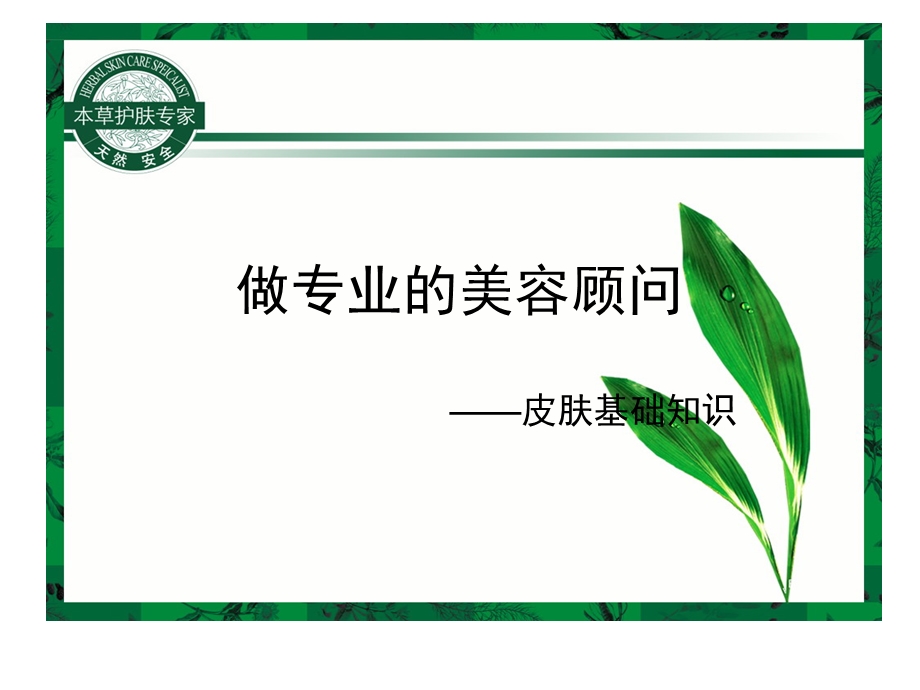 皮肤基础知识.ppt_第1页