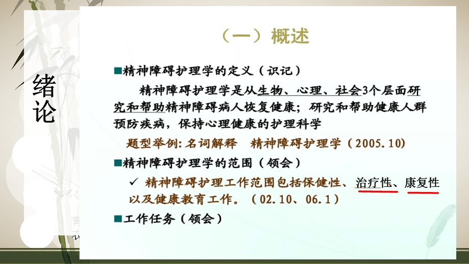 精神障碍护理学串讲.ppt.ppt_第2页