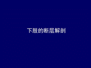 人体断层解剖学、下肢断层解剖.ppt