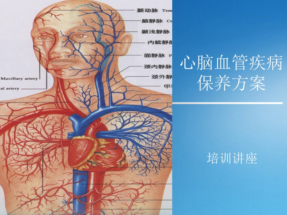 心脑血管疾病保养方案培训讲座.ppt_第1页