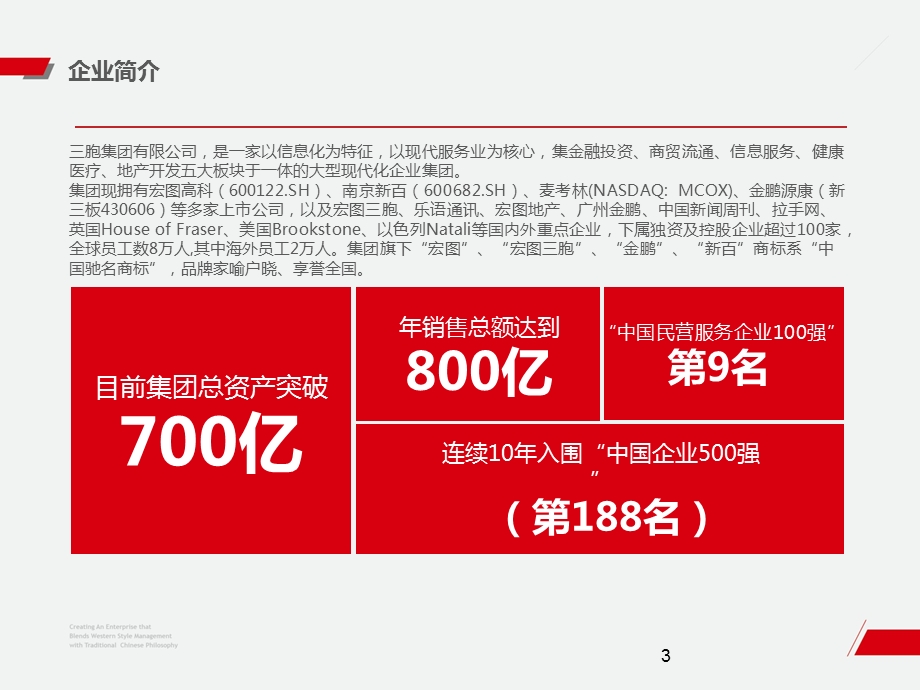 三胞集团中文版ppt(1118).ppt_第3页