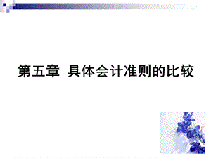 第五章 会计准则比较.ppt