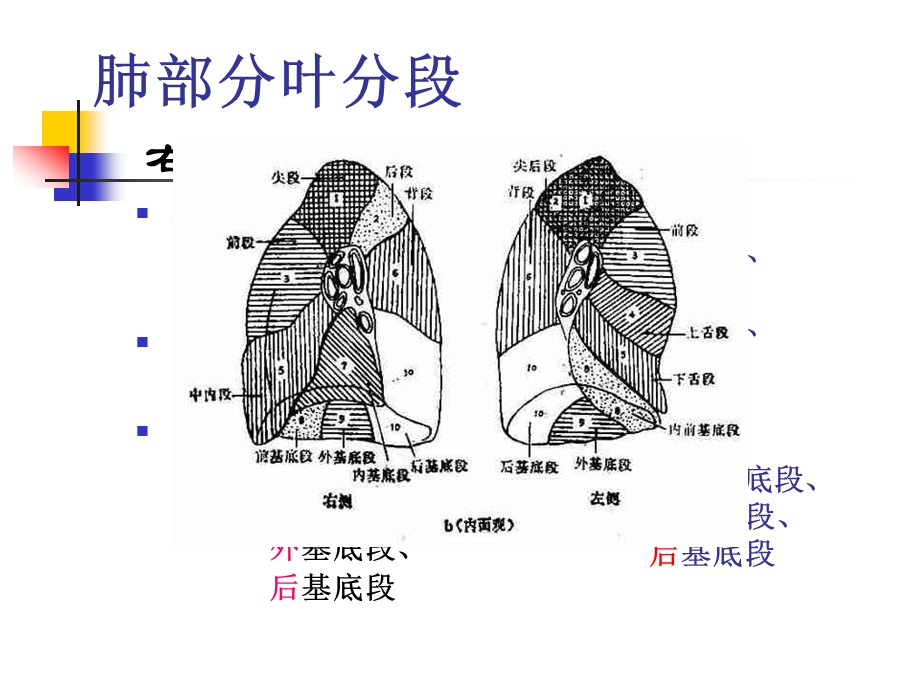 大叶性肺炎的影像诊断精要.ppt_第3页