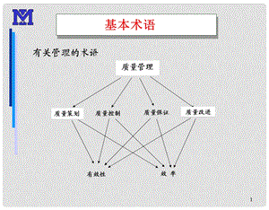 质量体系认证ISO9000 基本术语和八项原则.ppt