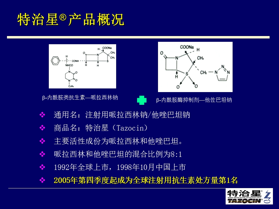 08特治星产品介绍幻灯片.ppt_第2页