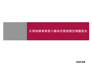 柳青莱茵小镇项目营销策划调整报告.ppt