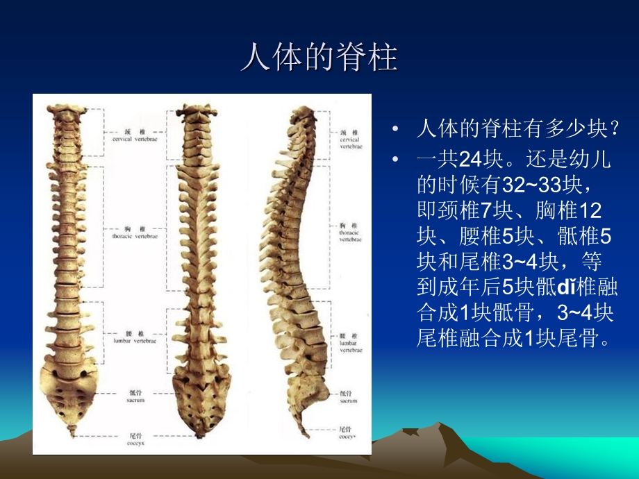 颈椎病的防治.ppt_第3页