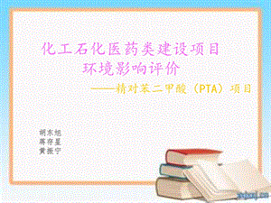 第二组精对苯二甲酸(PTA)项目.ppt