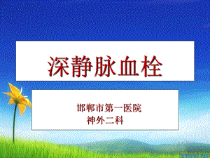 深静脉血栓的护理 要点.ppt