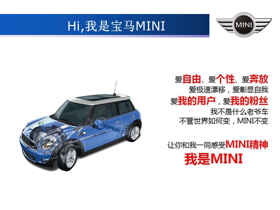 宝马MINI新车上市营销策划.ppt_第2页