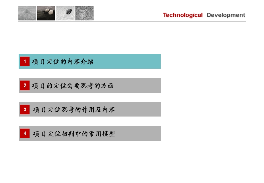 项目定位思考与初判(终稿)技中44p.ppt_第3页