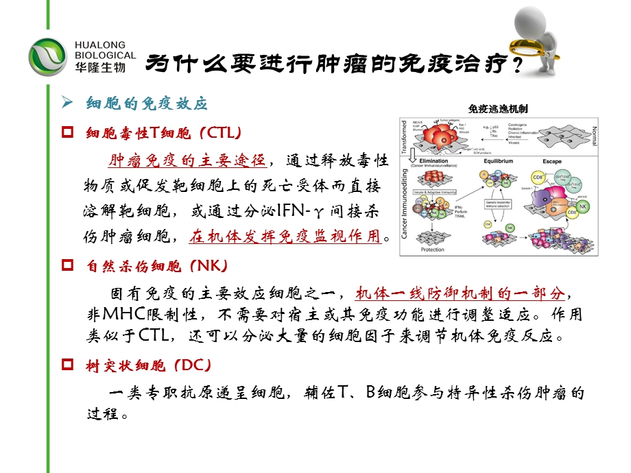 肿瘤免疫细胞治疗临床应用(流程).ppt_第2页