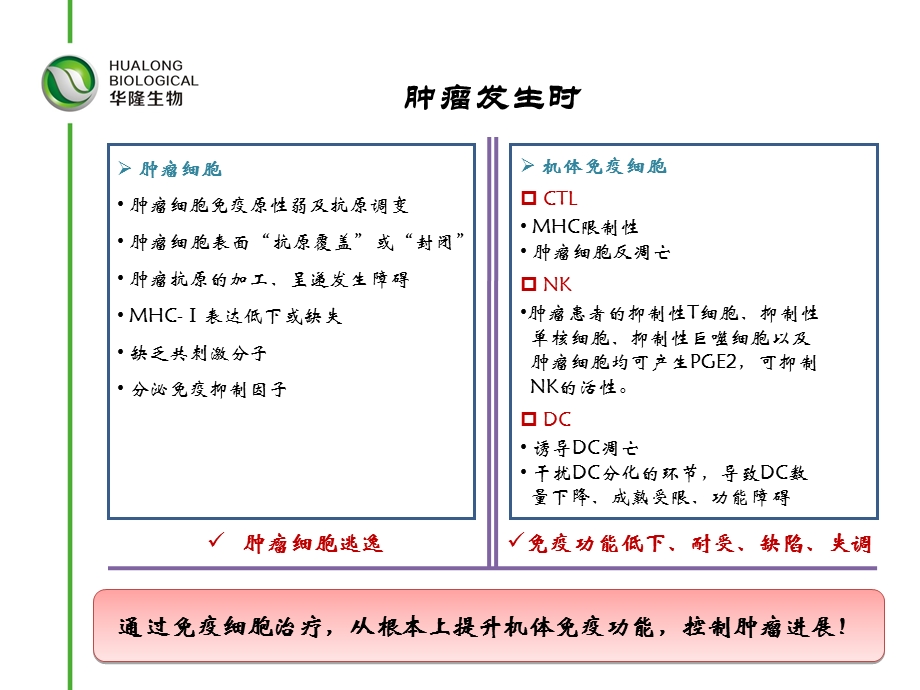 肿瘤免疫细胞治疗临床应用(流程).ppt_第3页