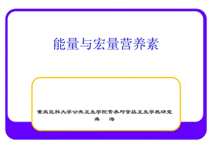 能量与宏量营养素.ppt