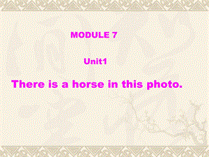 M7U1Thereisahorseinthisphoto.ppt