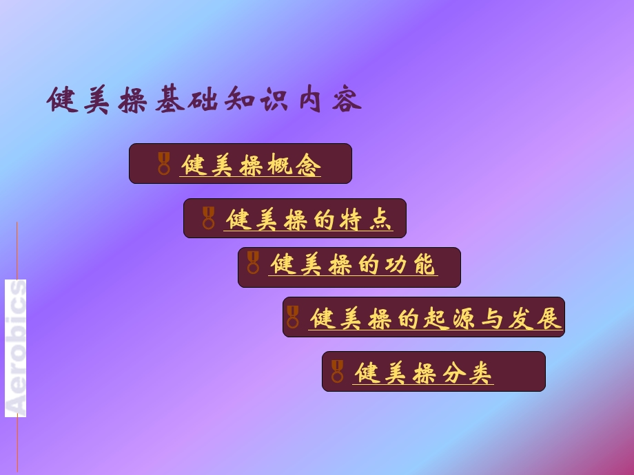 健美操精品课程PPT.ppt_第2页